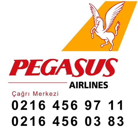 Pegasus Telefon Numarası Nedir?
